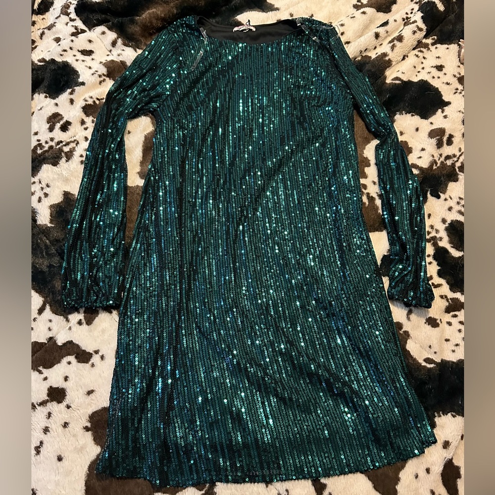 Green sequin dress, long sleeve size small